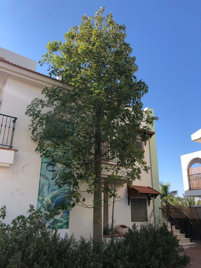 Amdar Village Cozy 2br Apartment